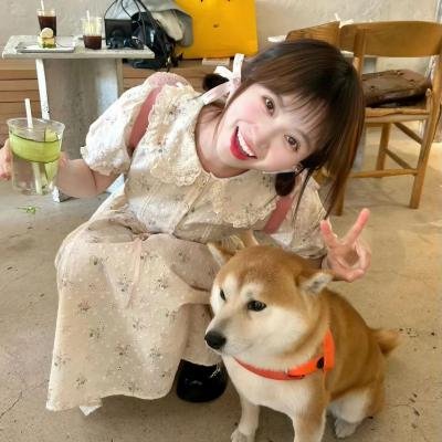 魔法公主